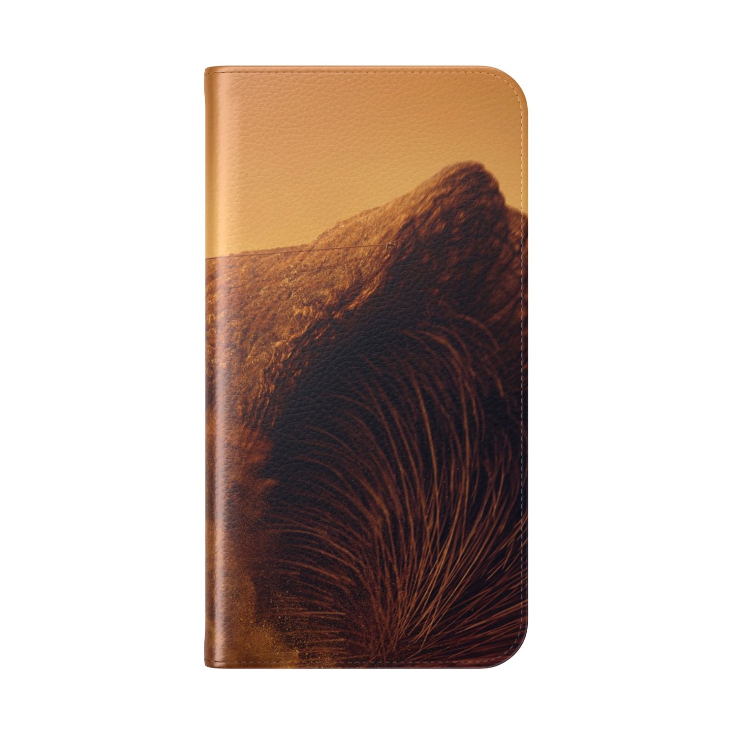 Dune iPhone & Samsung Flip Case